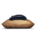 RX250 Mouse